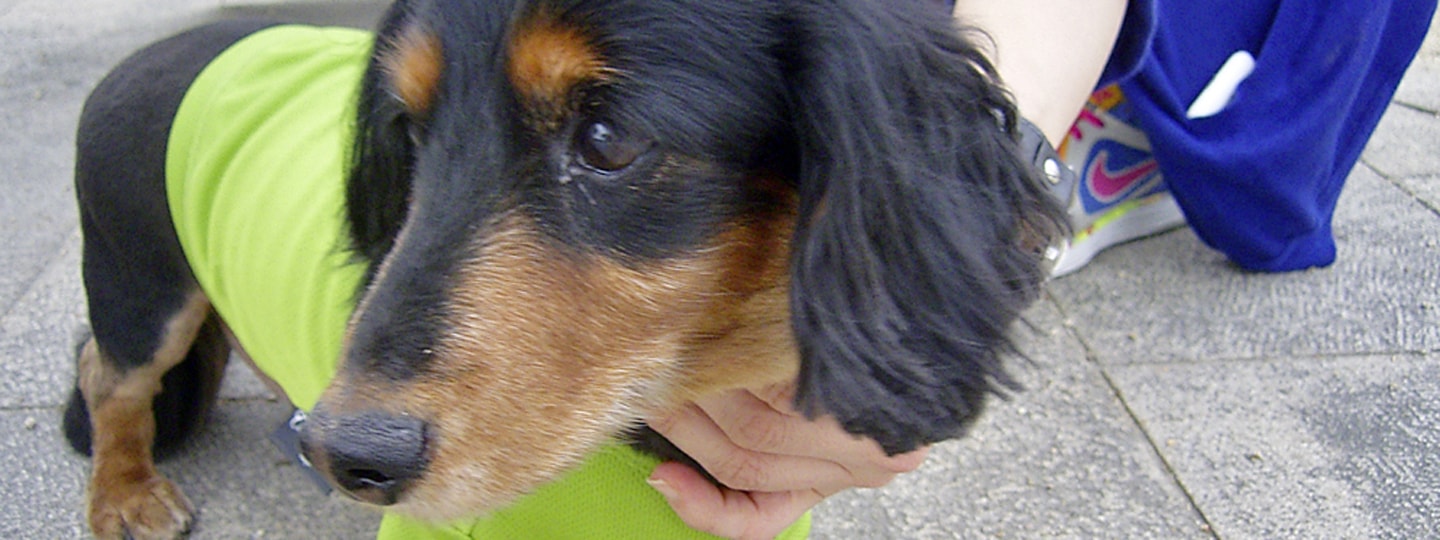 「冷服」の特徴3